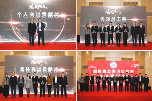 图片7