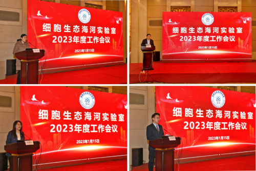 图片8 图片8