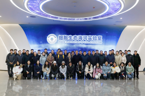 图片13