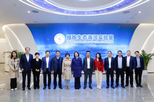 图片81